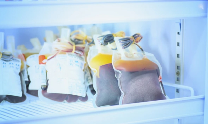 blood pouch in refrigerator at blood bank at laboratory hospital