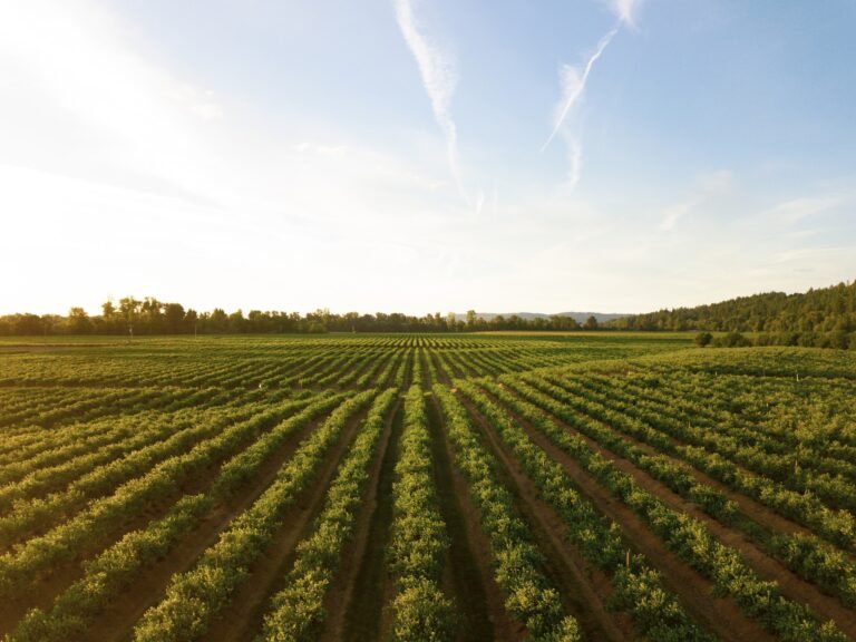 agriculture realtime monitoring