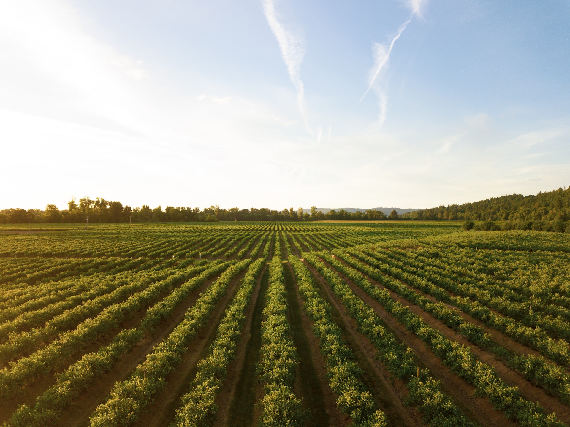 agriculture realtime monitoring