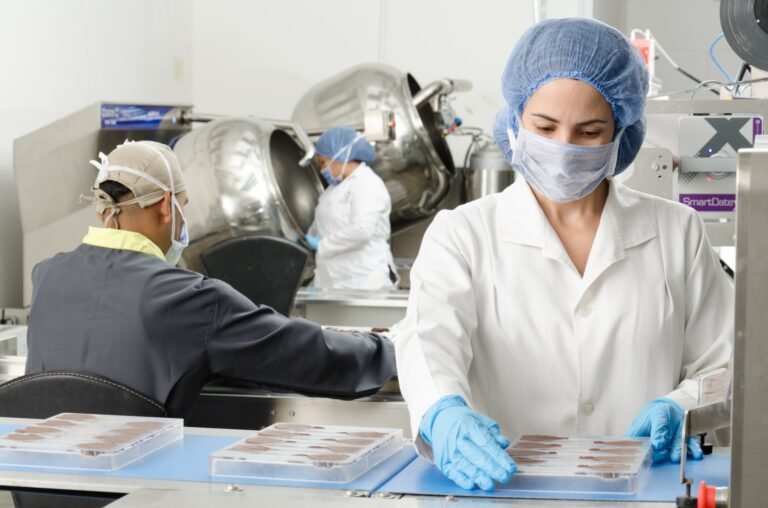food safety audit