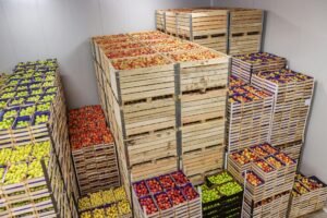 food storage