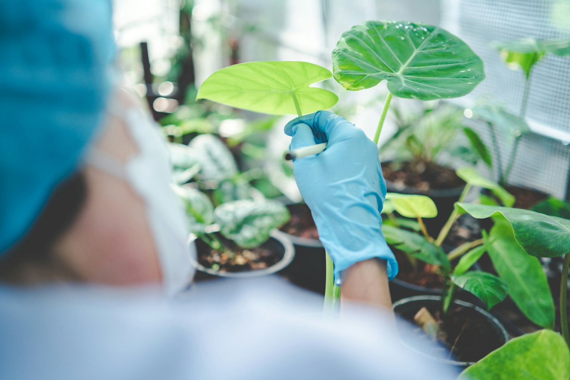 Life Sciences Research