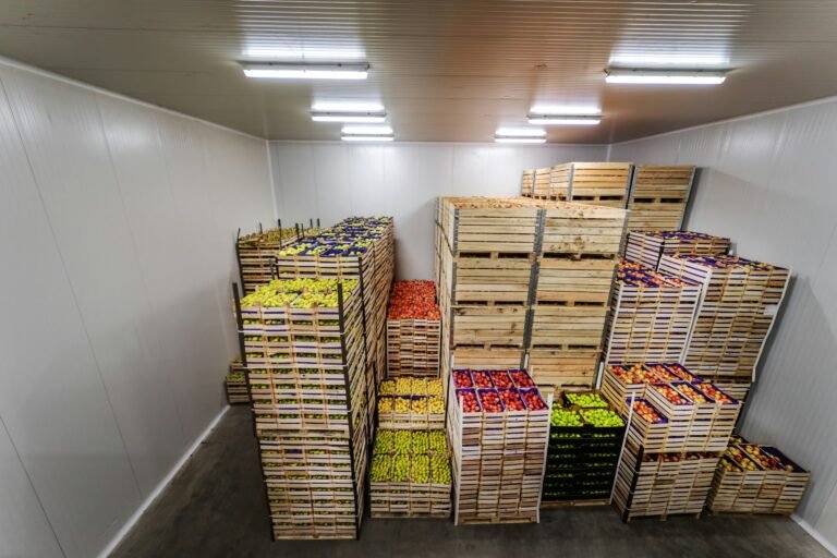 Food Storage