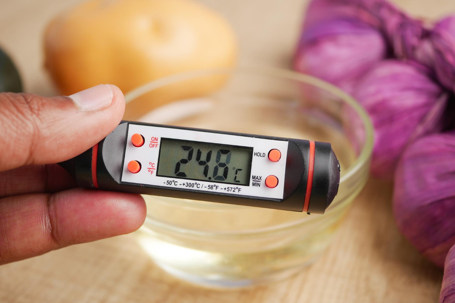 Food Temperature Monitor