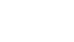 Novonesis