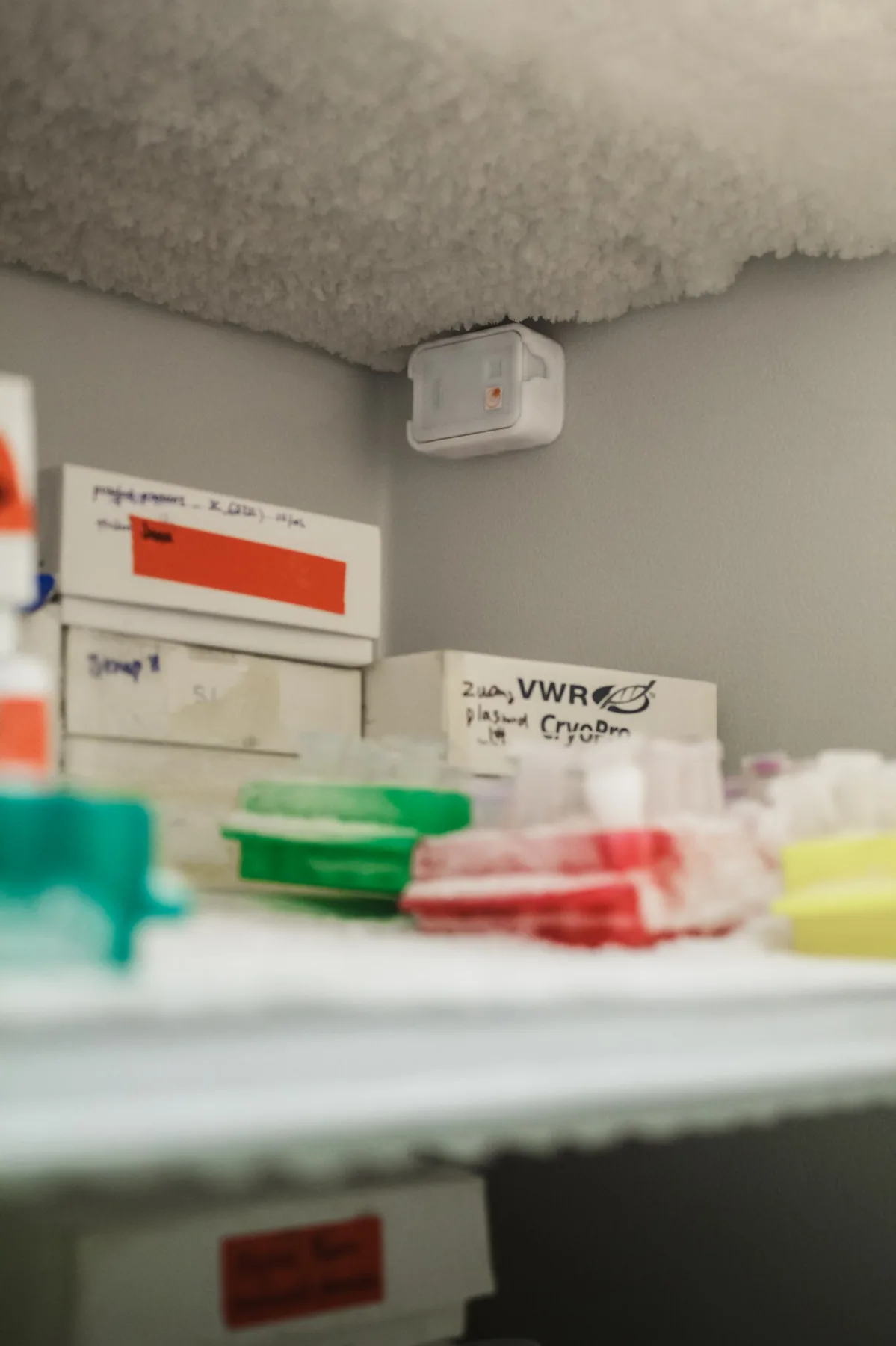 Monitoring sensor installation shown in the BridgeBio case study